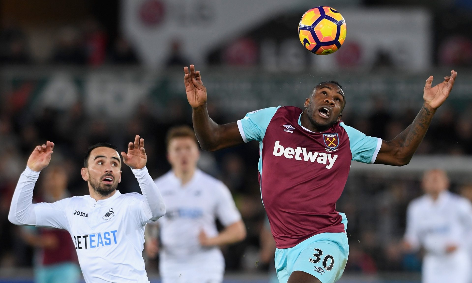 他的活力和 他的活力和